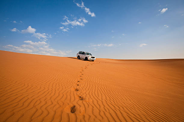 Top 5 Desert Safari Experiences in Dubai for 2025