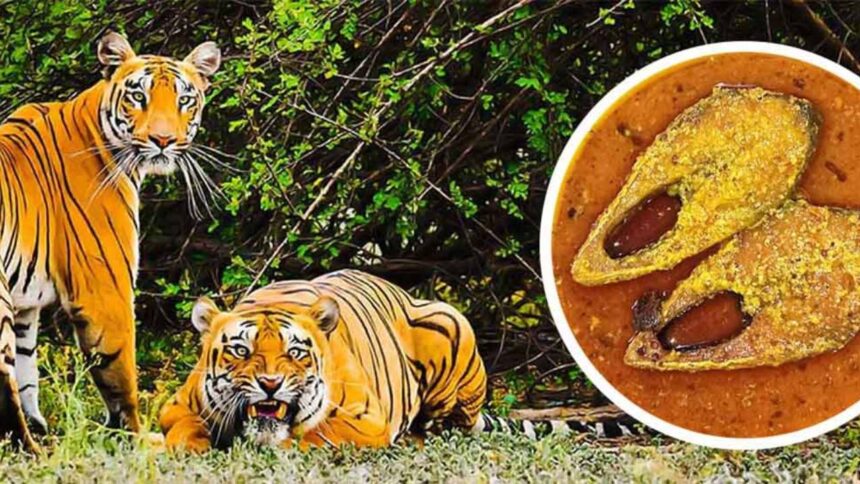 ইলিশ উৎসব ২০২৫